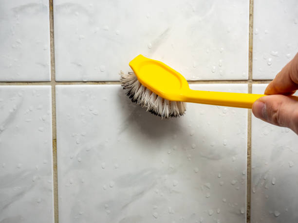 Best Mold Removal Process  in Kittredge, CO