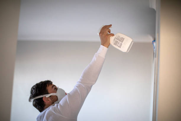 Best Mold Cleaning Services  in Kittredge, CO